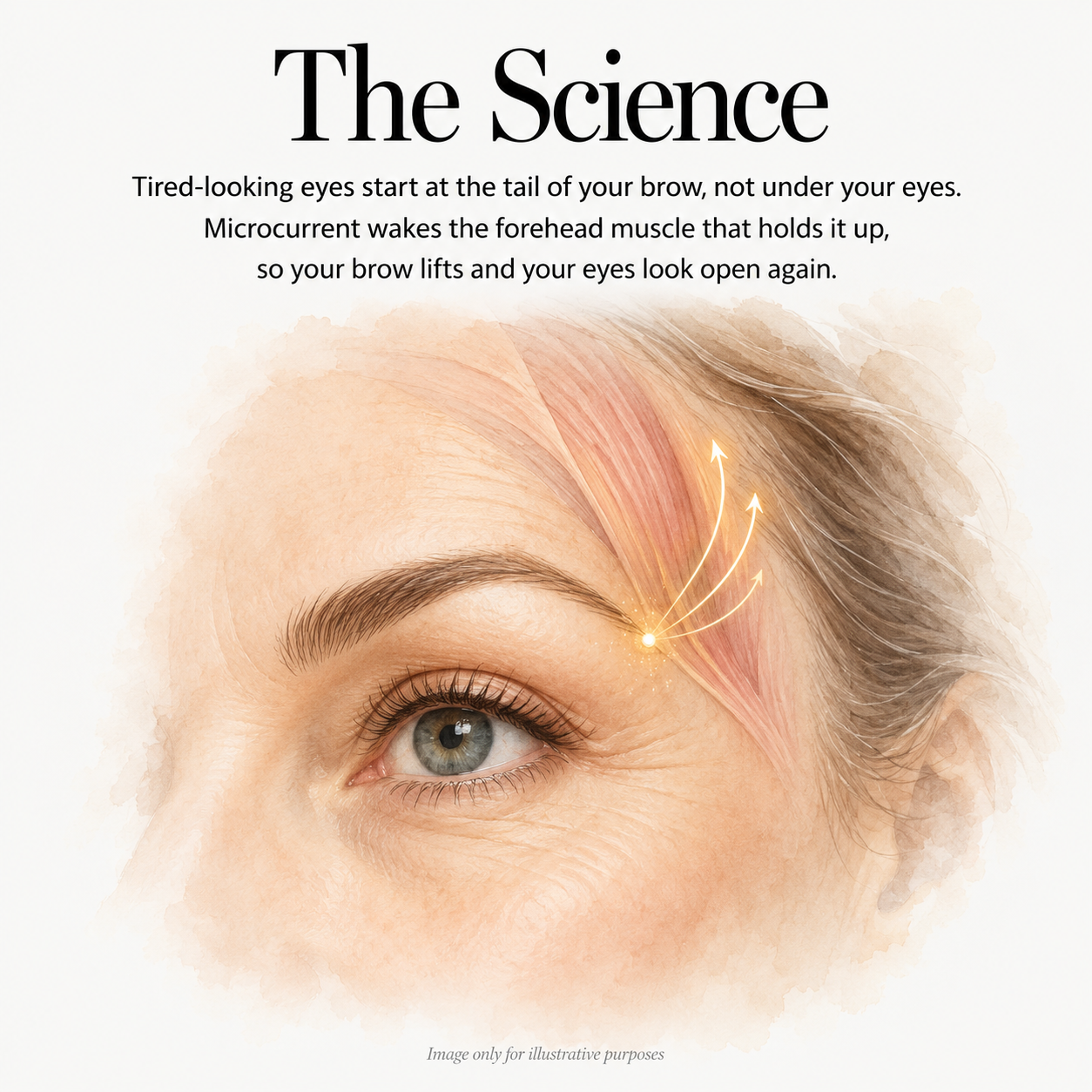 Lourio WakeLift Microcurrent Facial Device